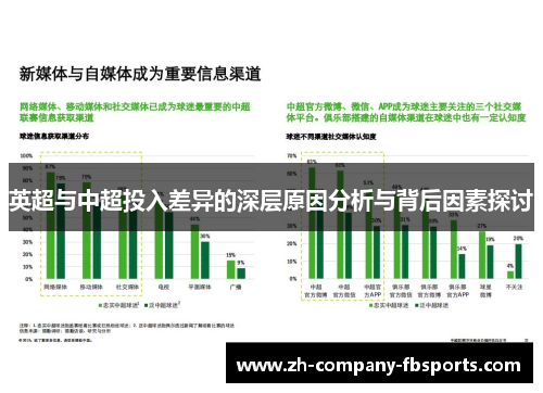 英超与中超投入差异的深层原因分析与背后因素探讨