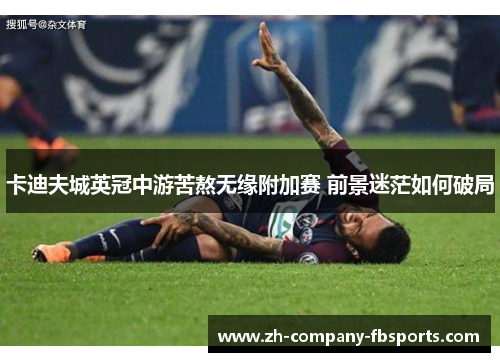 卡迪夫城英冠中游苦熬无缘附加赛 前景迷茫如何破局