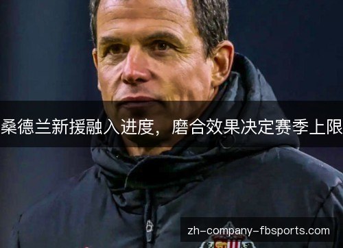 桑德兰新援融入进度，磨合效果决定赛季上限
